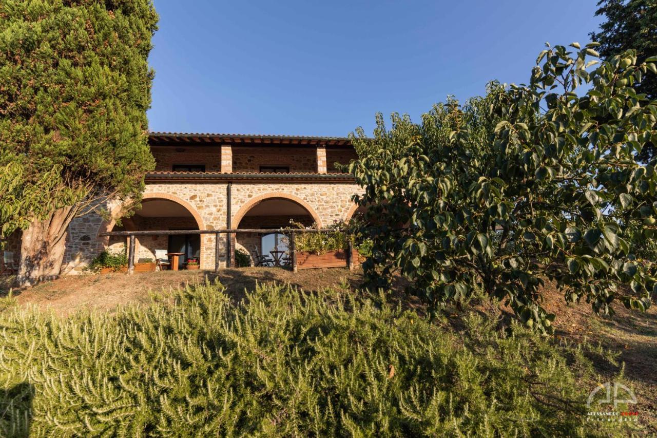 Villa Sant Anna Sassetta Exterior foto